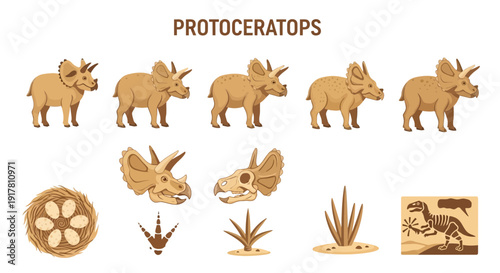 Cartoon illustrations of Protoceratops dinosaurs fossils track nest and plants
