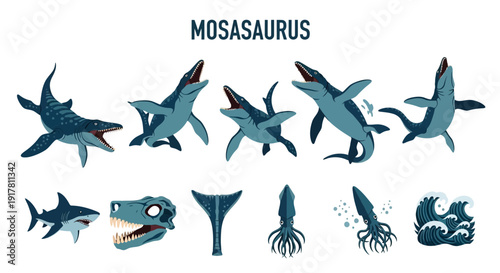 Illustration featuring various Mosasaurus depictions a shark a skull a tail fin squids and waves