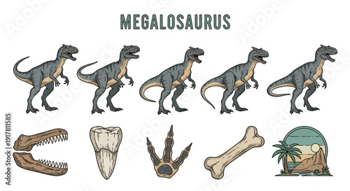Illustration set featuring five poses of a Megalosaurus fossil jaw tooth footprint bone and landscape