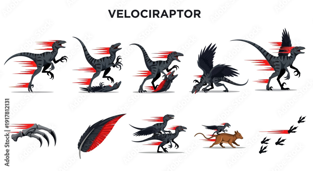 Obraz premium Velociraptor animation frames claws feather and footprints with speed lines