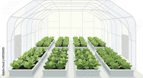 Rows of small green leafy plants are neatly arranged in white rectangular planters inside a spacious modern greenhouse with a translucent roof, Generative AI.