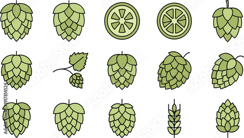 Hop Cones and Beer Ingredient Set with Whole and Sliced Hops, Leaves, and Brewing Elements Hand Drawn Vector Collection.
