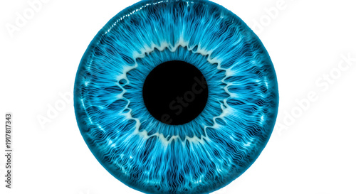 The mysterious and mesmerizing close-up of a human eye with vibrant blue iris isolated on transparent background