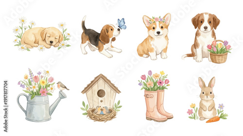 Cute and joyful collection of Vector illustrations. Perfect for invitation, card, poster, banner, decoration. Watercolor festive spring animal set: dogs, bunny, flowers, garden clipart. 
