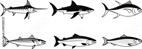 Set of six detailed fish silhouettes and line art icons, marine seafood species isolated on white vector