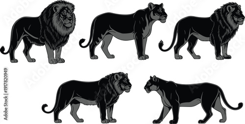 African lion Asian lion and puma silhouettes vector set isolated