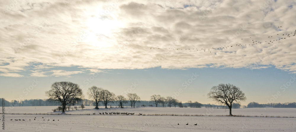 Naklejka premium Winterlandschaft