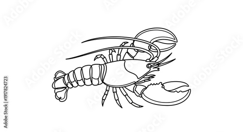 Black and White Lobster Illustration.