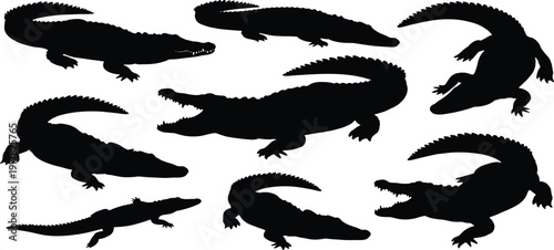 Black Silhouette Set of Wild Boar and Forest Hog in Various Poses for Wildlife Protection Nature Education Hunting Sport and Vector Illustration