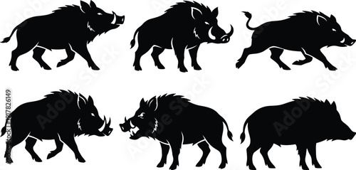 Black Silhouette Set of Wild Boar and Forest Hog in Various Poses for Wildlife Protection Nature Education Hunting Sport and Vector Illustration