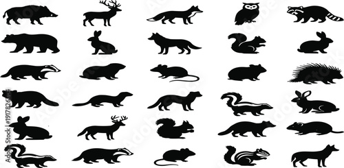 Black Silhouette Set of Wild Forest Animals Including Bear Fox Deer Rabbit Skunk and Squirrel for Wildlife Protection Nature Education and Vector