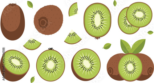Fresh Kiwi Fruit Whole and Sliced with Green Leaves Tropical Organic Food Vector Illustration Set for Healthy Diet and Juice Design.