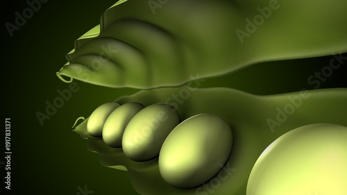 Green peas anatomy. 3d illustrations