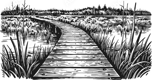 Wooden boardwalk pathway curving through marshland with tall grass and distant forest horizon