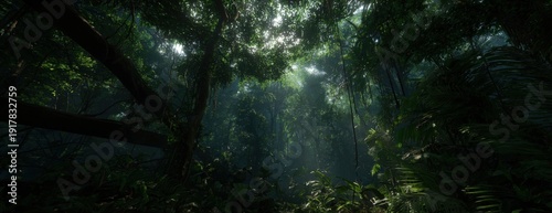 Lush Tropical Rainforest Canopy with Sunbeams Filtering Through Verdant Foliage, Creating a Serene Natural Ambiance