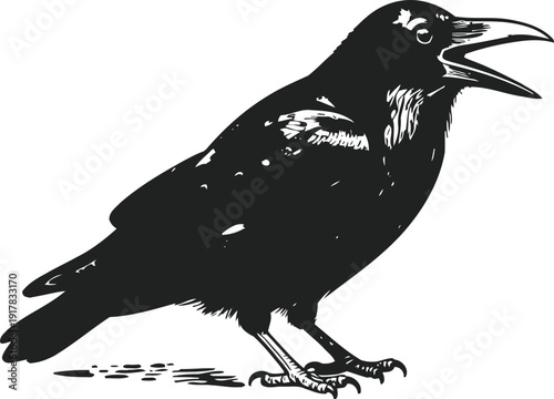 Black crow illustration with open beak detailed sketch bird design