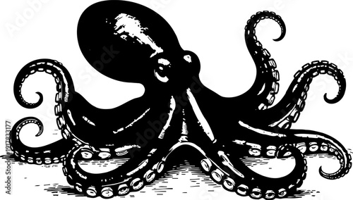 Black octopus illustration with extended tentacles on white background sea creature drawing, marine life art