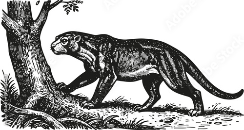 Extinct saber toothed cat walking near tree in prehistoric forest environment sketch
