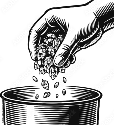 Hand adding hops to brewing kettle for craft beer making process in vintage woodcut