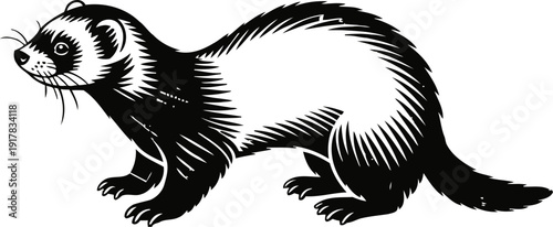 Black and white illustration of a ferret in a detailed woodcut with bold lines and texture