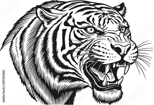 roaring tiger head illustration with detailed stripes and fierce expression in black and white