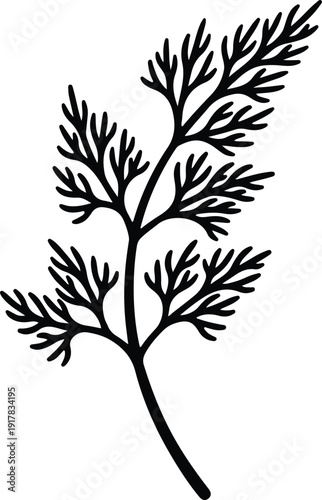 silhouette dill herb branch isolated on white background vector design