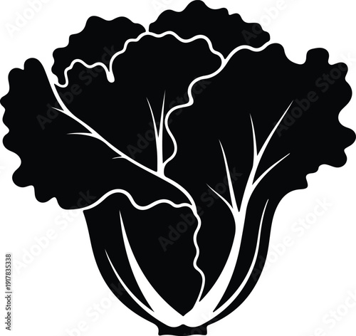 silhouette fresh green lettuce head vegetable healthy food vector design