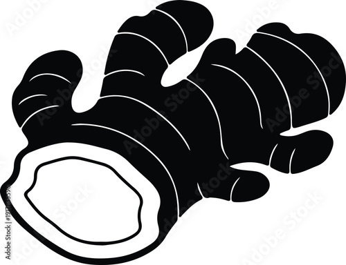 silhouette ginger root spice food ingredient healthy vegetable organic vector design