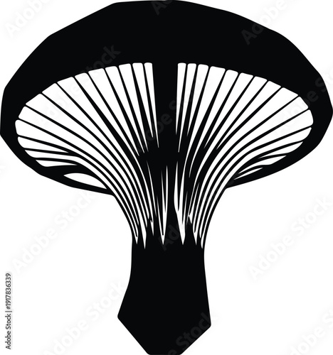 silhouette mushroom with gills detailed drawing isolated on white background vector design