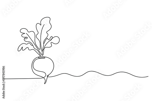Single Line Drawing of a Beetroot with Leaves Growing from the Ground Minimalist Stock Illustration