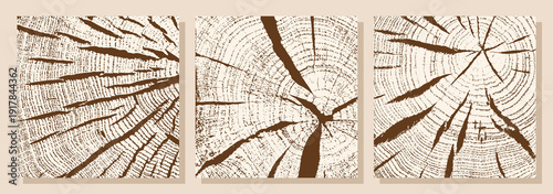 Natural wood texture in cross section. Tree growth rings, cracks, and chips. Vector illustration.