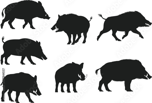 Black wild boar silhouettes collection, feral pig icons set, forest hog graphics, woodland swine vector, hunting nature design, tusk animal.