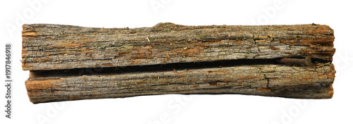 Old weathered log without bark with deep cracks isolated on white background. 