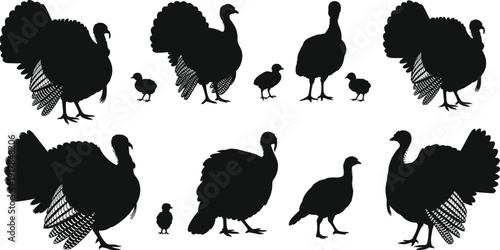 Flock of black bird silhouettes flying in formation on white background, migratory birds group isolated for nature and wildlife design,