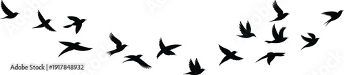 Flock of black birds flying in wavy formation on white background, migratory bird silhouettes isolated, nature wildlife design for sky
