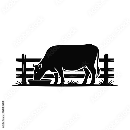 A silhouette of a cow drinks from a trough in a fenced pasture.
