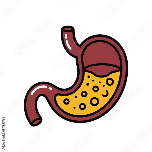 Illustration of a human stomach filled with digestive fluids and bubbles.
