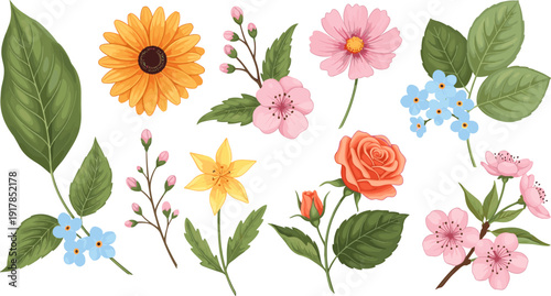 Detailed floral botanical set with rose, daisy, lily, and cherry blossoms in soft vector style,