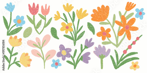 Colorful hand drawn floral collection with crayon and pastel texture. Chalk botanic bold floral elements. Grunge crayon textured branches, leaves, and wild flowers vector illustration
