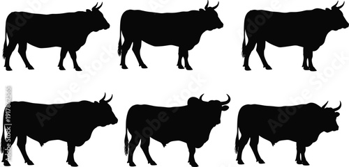 Black silhouettes of bulls in side profile with varied horn shapes and body structures, ideal for livestock design, animal illustration, and educational projects.