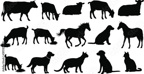 Silhouettes of various domesticated animals