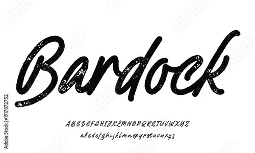 Script Brush Font Type Font lettering handwritten 