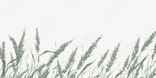 Background with ears of wheat with granular grain texture, dust overlays and faint paper aging marks with soft distressed imperfections.