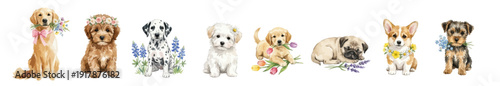 Set of festive puppies with flowers. Spring greetings. Watercolor puppy clipart: Golden Retriever, Pug, Corgi, Yorkie. Collection of Vector illustrations. Perfect for invitation, card, poster, banner