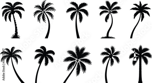 Ten palm tree silhouettes, tropical design, exotic nature, beach theme, botanical illustration, decorative resource, landscape art