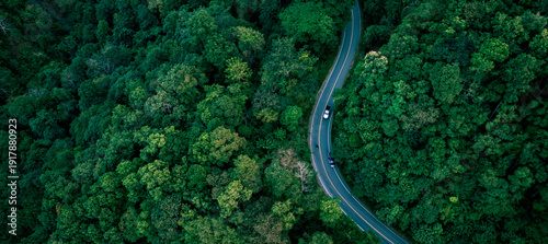Bild auf Leinwand Forest road landscape showing sustainable travel and clean energy transportation concept for business marketing and modern eco technology presentations