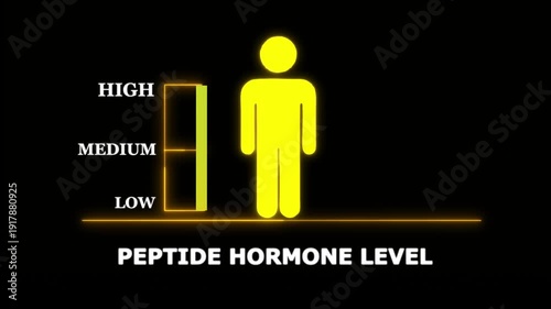 Peptide Hormone Level Indicator with Human Silhouette. Glowing neon animation and black background .good level on high measure scale. Instrument scale with silhouette of a neon man.4k video motion