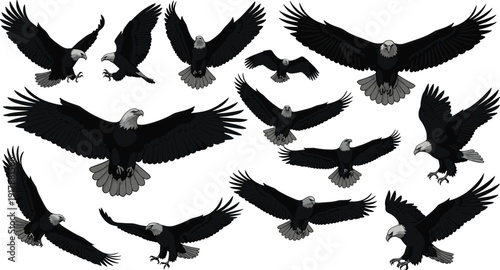 Twelve bald eagle illustrations in dynamic flying and landing poses, showcasing majestic wings, natural movements, and iconic features for wildlife, educational, and artistic design use