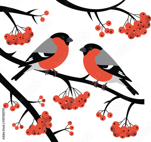 Seamless bullfinch bird pattern with red berries on branches, winter wildlife vector illustration, decorative nature background for fabric, wallpaper, textile and wrapping paper design