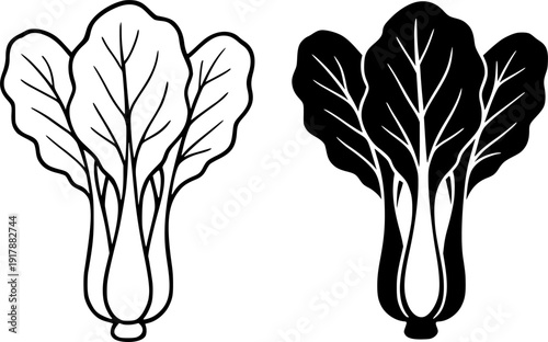Vegetable icon, vector illustration of caisim, black and white in outline and silhouette design style
